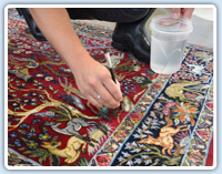 expert cleaning services