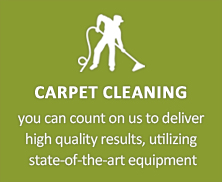 green cleaning services