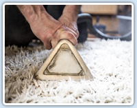 professional cleaners