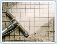 expert cleaning services