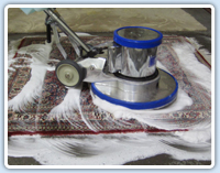 professional cleaners